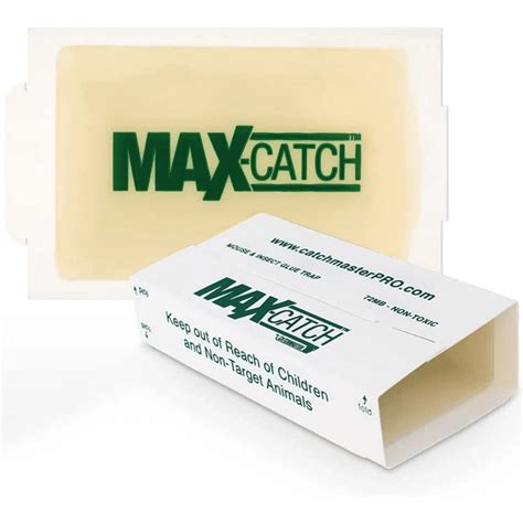 glue trap metal box|max catch glue.